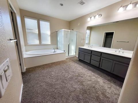 1559 E Topiary Dr, Manteca, CA 95337 photo 22