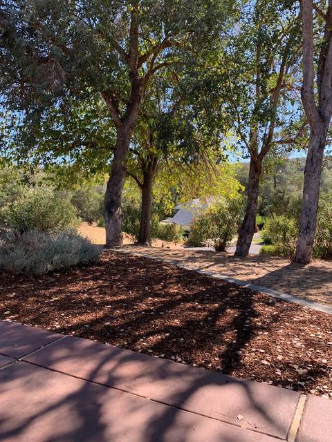 20360 Luke Ct, Sonora, CA 95370 photo 33