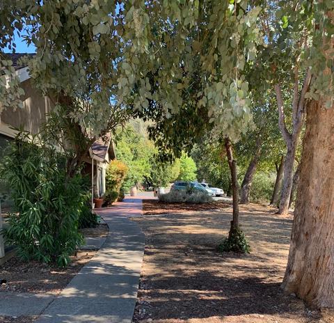 20360 Luke Ct, Sonora, CA 95370 photo 43