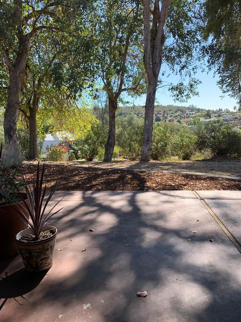 20360 Luke Ct, Sonora, CA 95370 photo 31