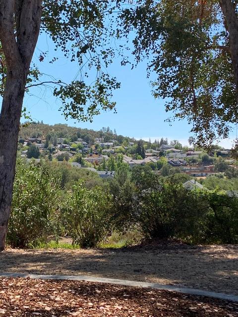 20360 Luke Ct, Sonora, CA 95370 photo 44