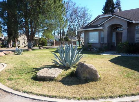7710 Butte Ave, Sutter, CA 95982 photo 81