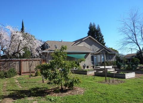 7710 Butte Ave, Sutter, CA 95982 photo 71