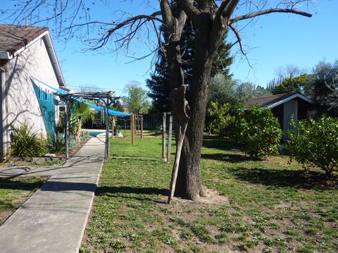7710 Butte Ave, Sutter, CA 95982 photo 56