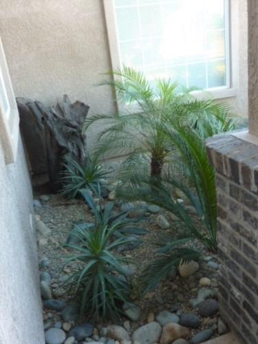 7710 Butte Ave, Sutter, CA 95982 photo 4