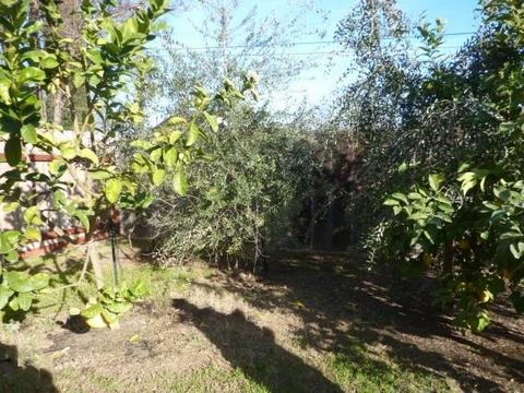 7710 Butte Ave, Sutter, CA 95982 photo 58