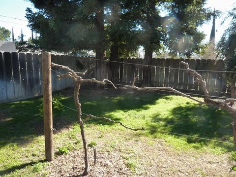 7710 Butte Ave, Sutter, CA 95982 photo 59