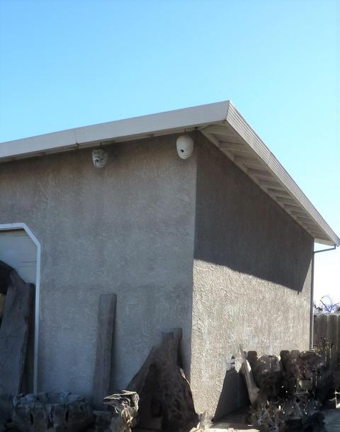 7710 Butte Ave, Sutter, CA 95982 photo 77