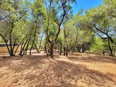 8652 Sheep Ranch Rd, Mountain Ranch, CA 95246 photo 60