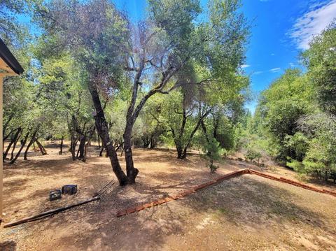 8652 Sheep Ranch Rd, Mountain Ranch, CA 95246 photo 13