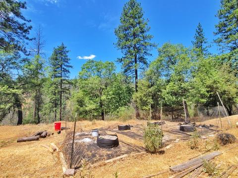 8652 Sheep Ranch Rd, Mountain Ranch, CA 95246 photo 65