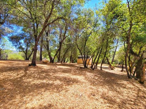 8652 Sheep Ranch Rd, Mountain Ranch, CA 95246 photo 59
