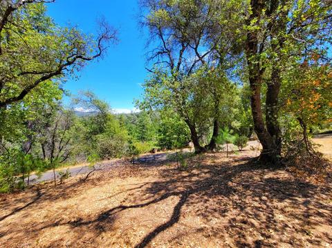 8652 Sheep Ranch Rd, Mountain Ranch, CA 95246 photo 64