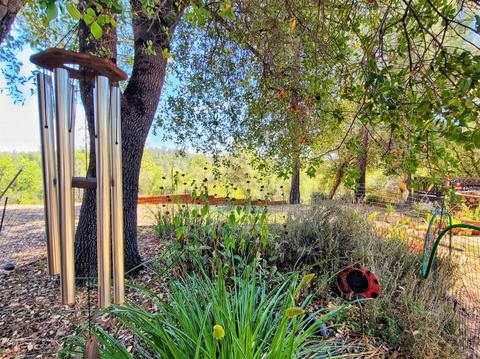 8652 Sheep Ranch Rd, Mountain Ranch, CA 95246 photo 66