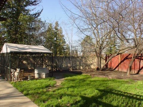 3117 Greycrest Ct, Antelope, CA 95843 photo 26