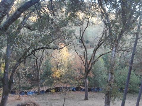 Undisclosed, Grass Valley, CA 95949 photo 5