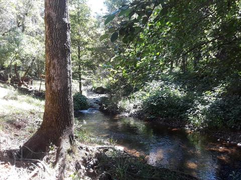 Undisclosed, Grass Valley, CA 95949 photo 3