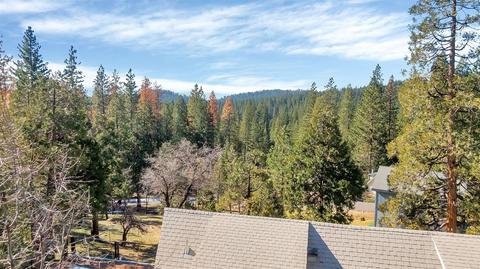 1460 Blue Mountain Ct, Arnold, CA 95223 photo 5
