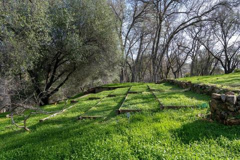 8568 Riverwood Dr, Placerville, CA 95667 photo 49