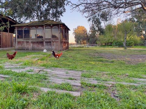 412 E Taylor Rd, Ceres, CA 95307 photo 48