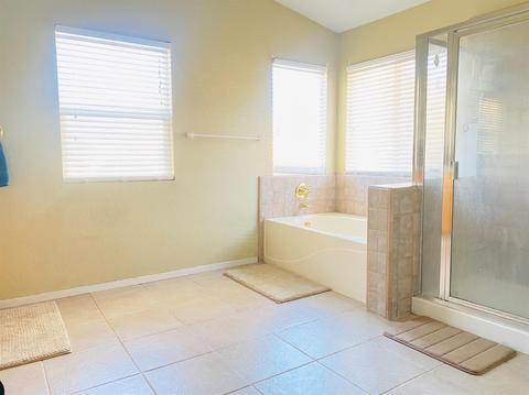 941 Silver Ct, Lathrop, CA 95330 photo 17