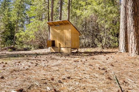 5313 Davenport Rd, Placerville, CA 95667 photo 31