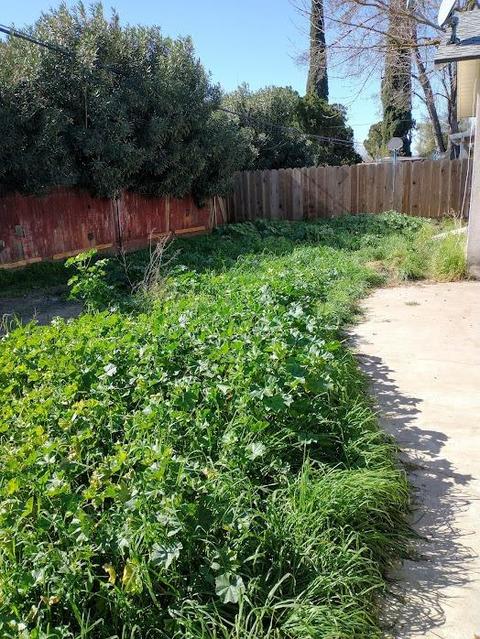 2524 Henry Ave, Ceres, CA 95307 photo 21