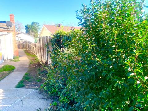 174 Glenn Dr, Folsom, CA 95630 photo 9