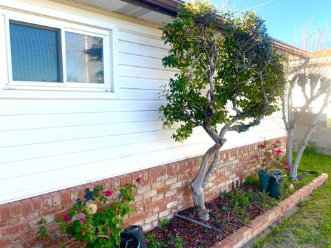 174 Glenn Dr, Folsom, CA 95630 photo 4