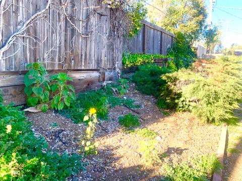 174 Glenn Dr, Folsom, CA 95630 photo 16