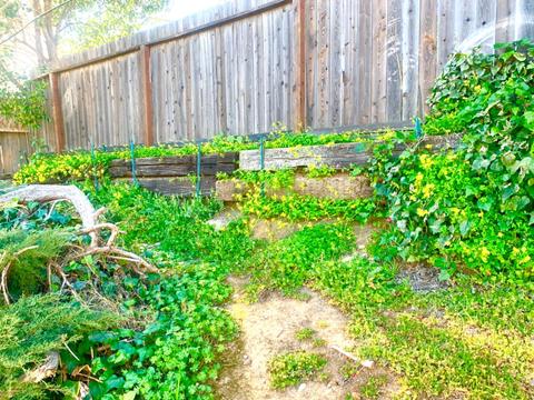 174 Glenn Dr, Folsom, CA 95630 photo 15