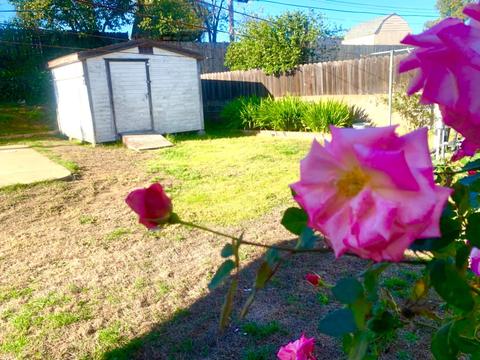 174 Glenn Dr, Folsom, CA 95630 photo 17