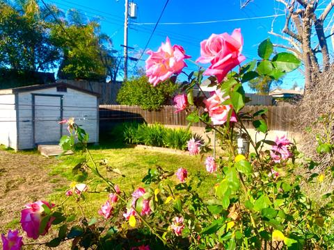 174 Glenn Dr, Folsom, CA 95630 photo 3