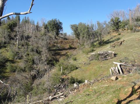 5776 Hangmans Tree, Mountain Ranch, CA 95246 photo 29