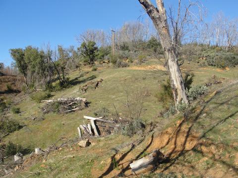 5776 Hangmans Tree, Mountain Ranch, CA 95246 photo 30