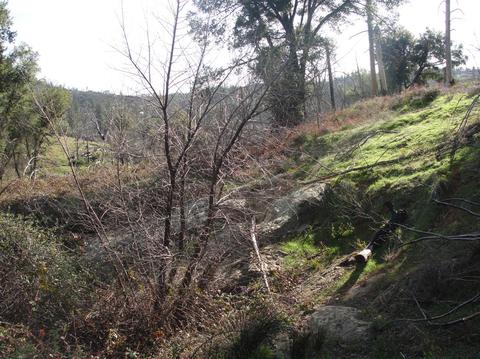 5776 Hangmans Tree, Mountain Ranch, CA 95246 photo 9