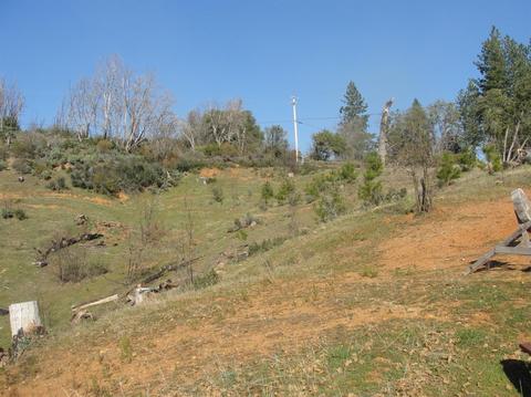 5776 Hangmans Tree, Mountain Ranch, CA 95246 photo 23