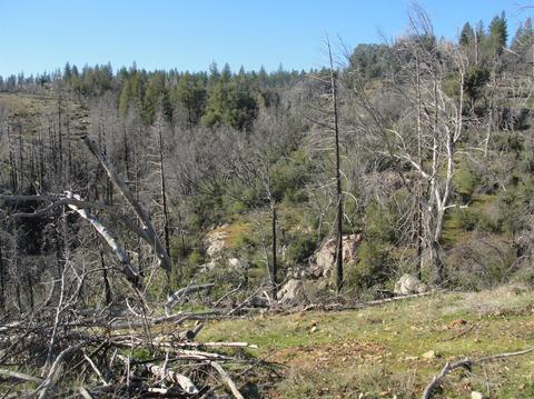 5776 Hangmans Tree, Mountain Ranch, CA 95246 photo 22