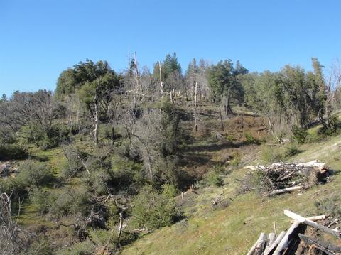5776 Hangmans Tree, Mountain Ranch, CA 95246 photo 25