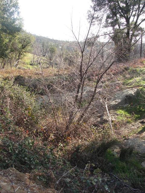 5776 Hangmans Tree, Mountain Ranch, CA 95246 photo 18