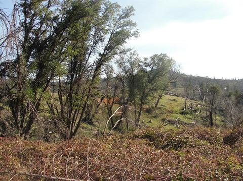 5776 Hangmans Tree, Mountain Ranch, CA 95246 photo 17