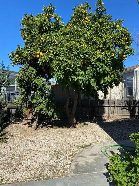 180 Schooner Ln, Modesto, CA 95356 photo 4