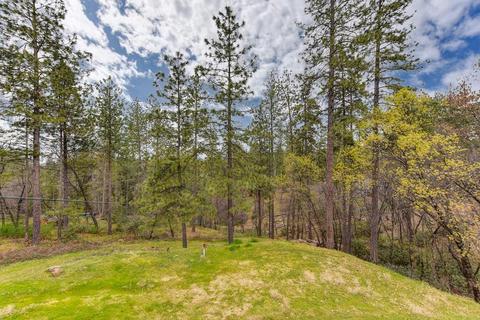 21825 Digger Pine Ln, Colfax, CA 95713 photo 31