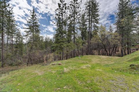 21825 Digger Pine Ln, Colfax, CA 95713 photo 50