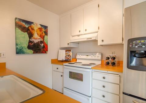 229 Baja Ave, Davis, CA 95616 photo 10