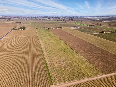 19217 N Devries Rd, Lodi, CA 95242 photo 8