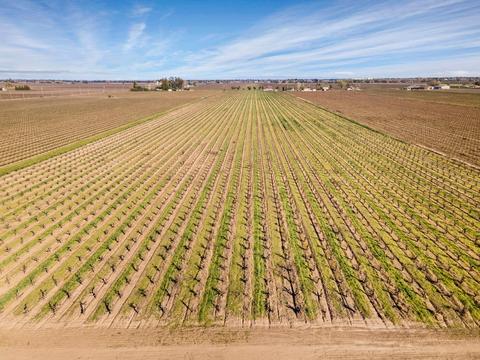 19217 N Devries Rd, Lodi, CA 95242 photo 9