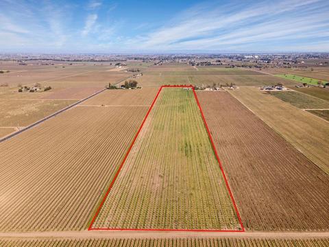 19217 N Devries Rd, Lodi, CA 95242 photo 7