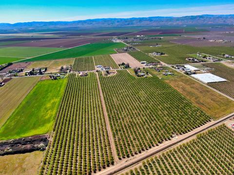 18736 Sycamore Ave, Patterson, CA 95363 photo 54