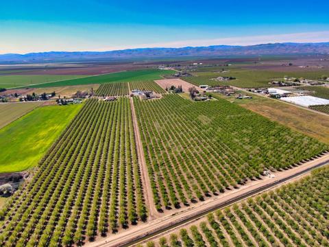 18736 Sycamore Ave, Patterson, CA 95363 photo 39